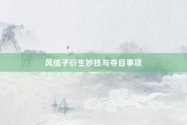 风信子衍生妙技与夺目事项