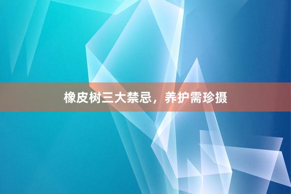橡皮树三大禁忌，养护需珍摄