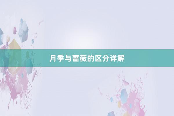 月季与蔷薇的区分详解