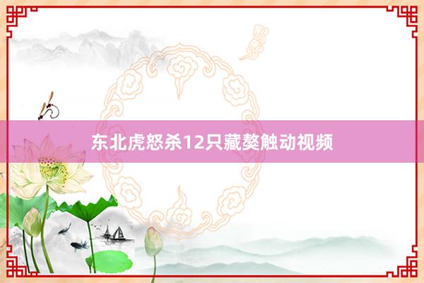 东北虎怒杀12只藏獒触动视频