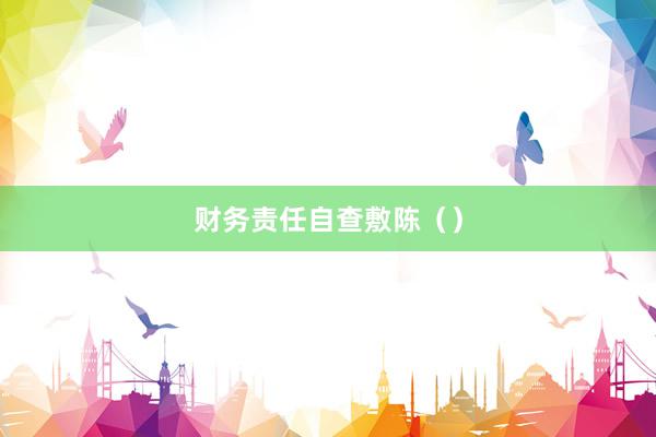 财务责任自查敷陈（）
