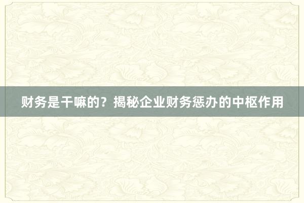 财务是干嘛的？揭秘企业财务惩办的中枢作用